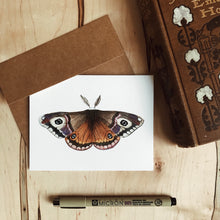 Load image into Gallery viewer, Set of Moth Cards