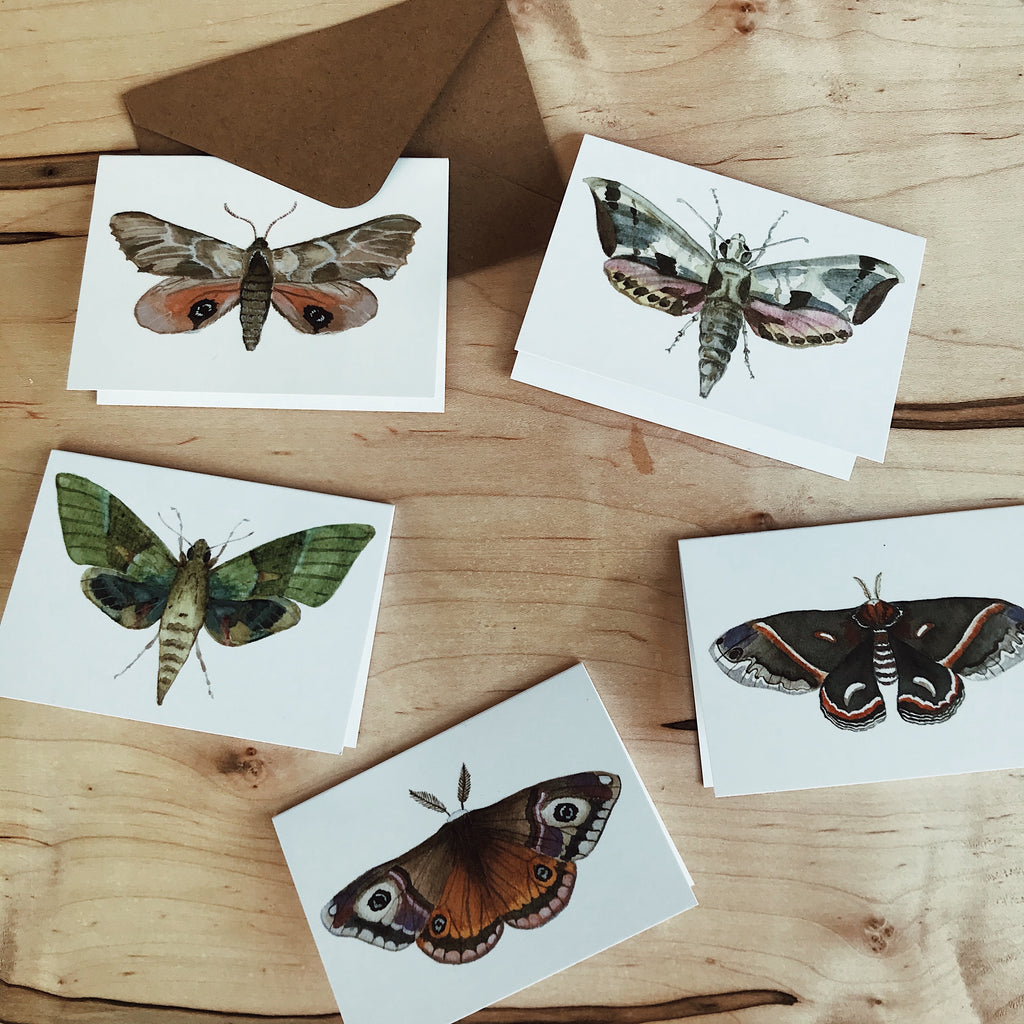 Set of Mini Moth Cards
