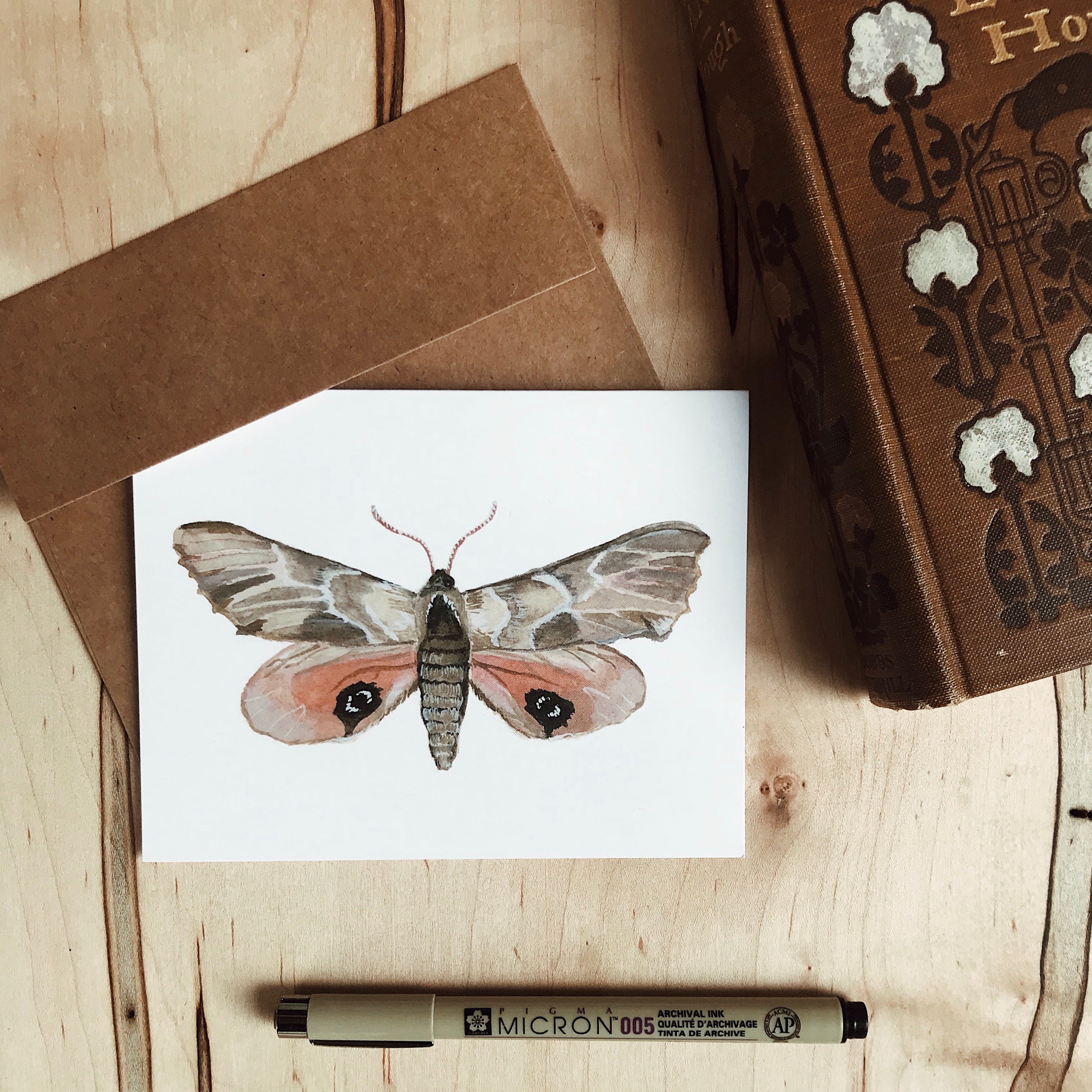 Set of Moth Cards