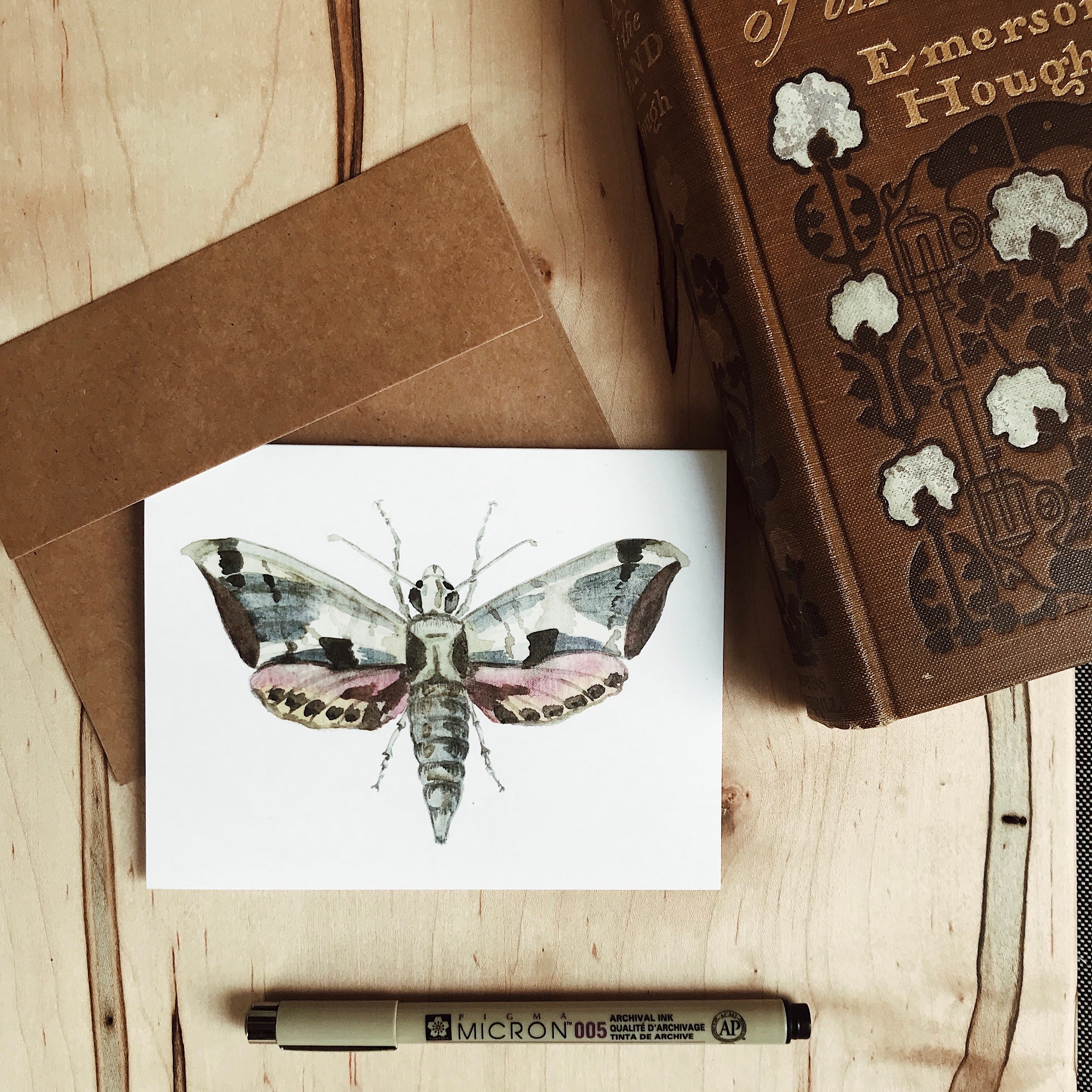 Set of Moth Cards