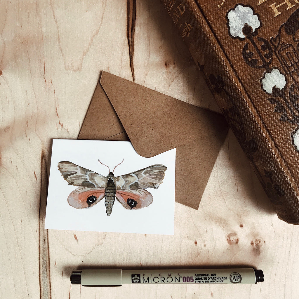 Set of Mini Moth Cards