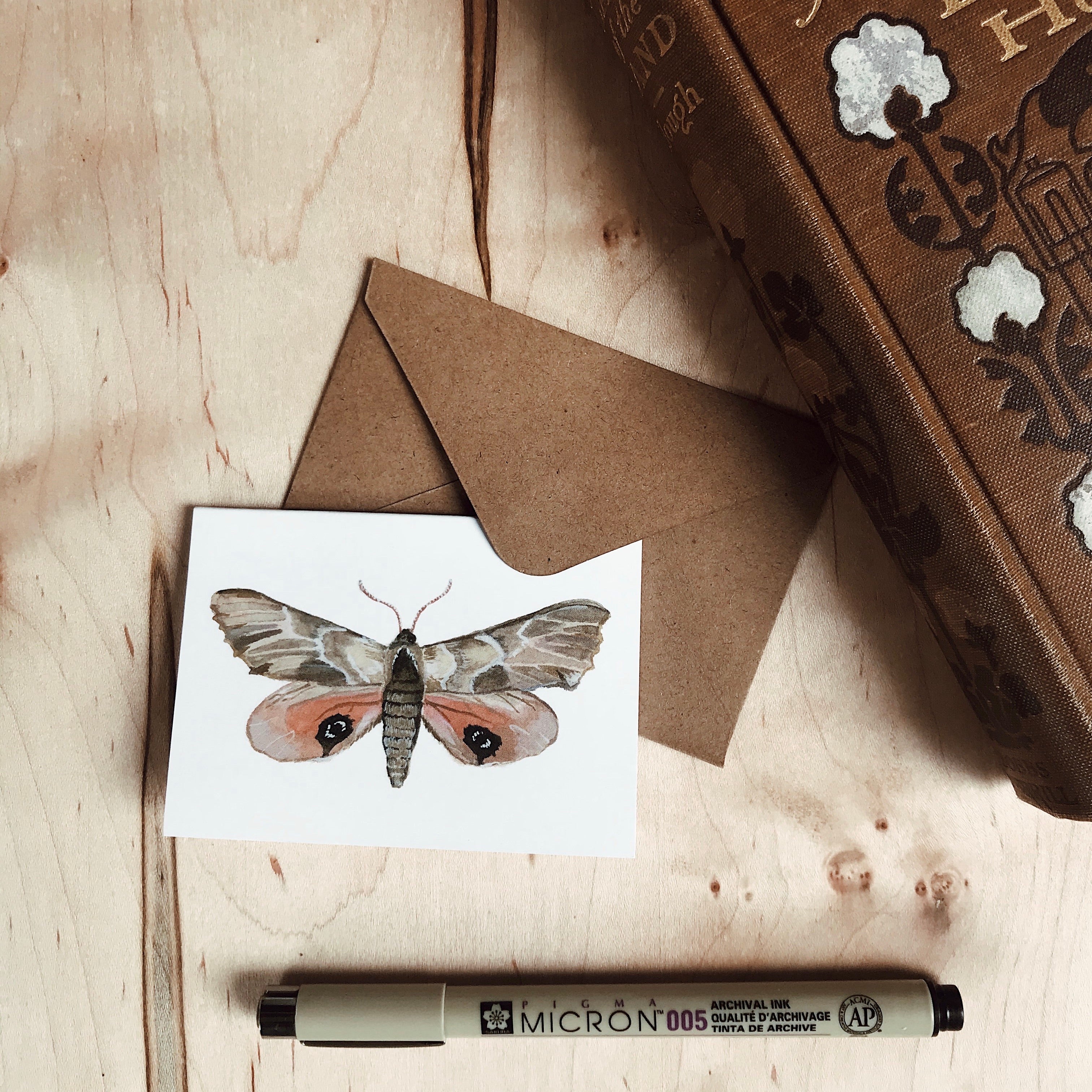 Set of Mini Moth Cards