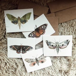 Set of Moth Cards