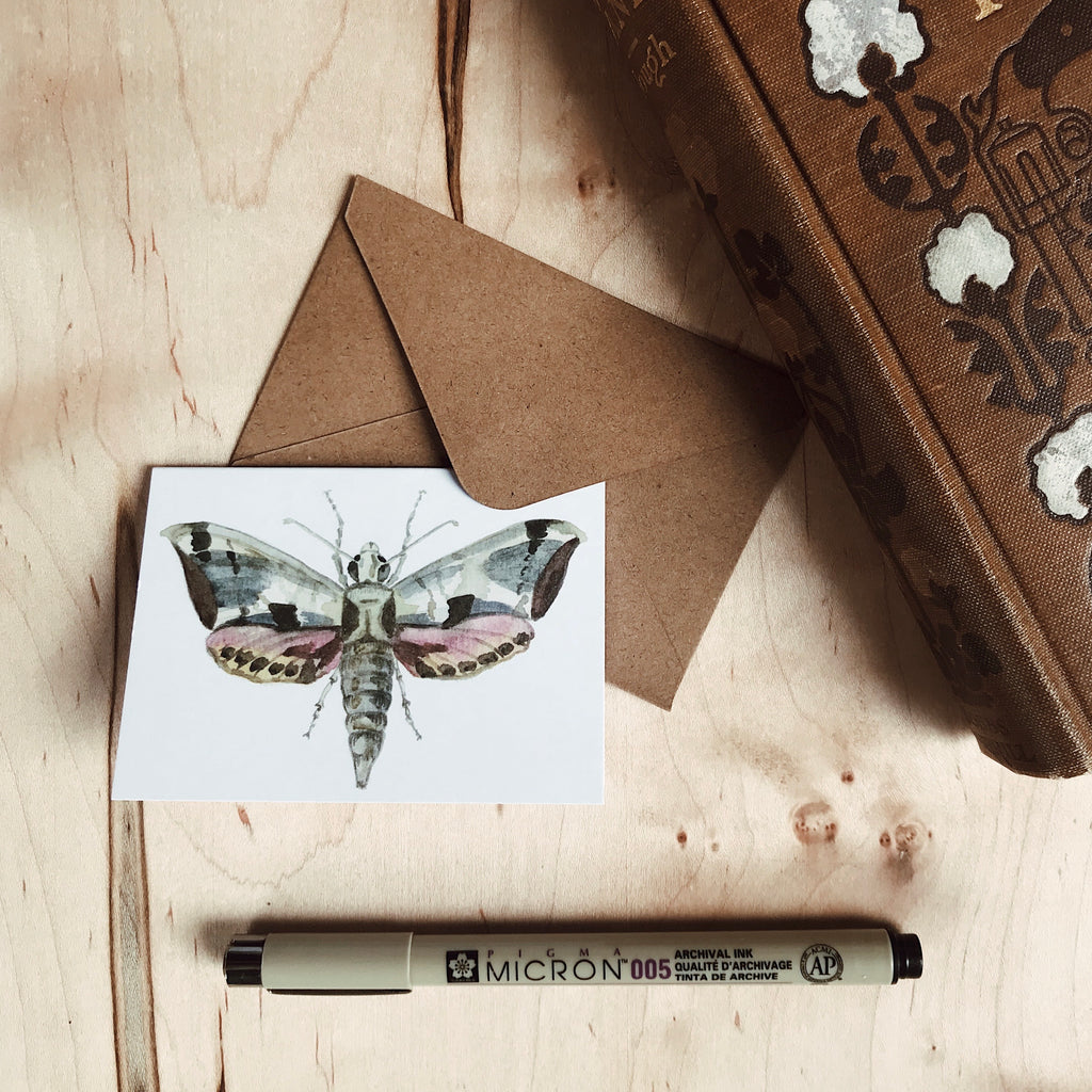 Set of Mini Moth Cards