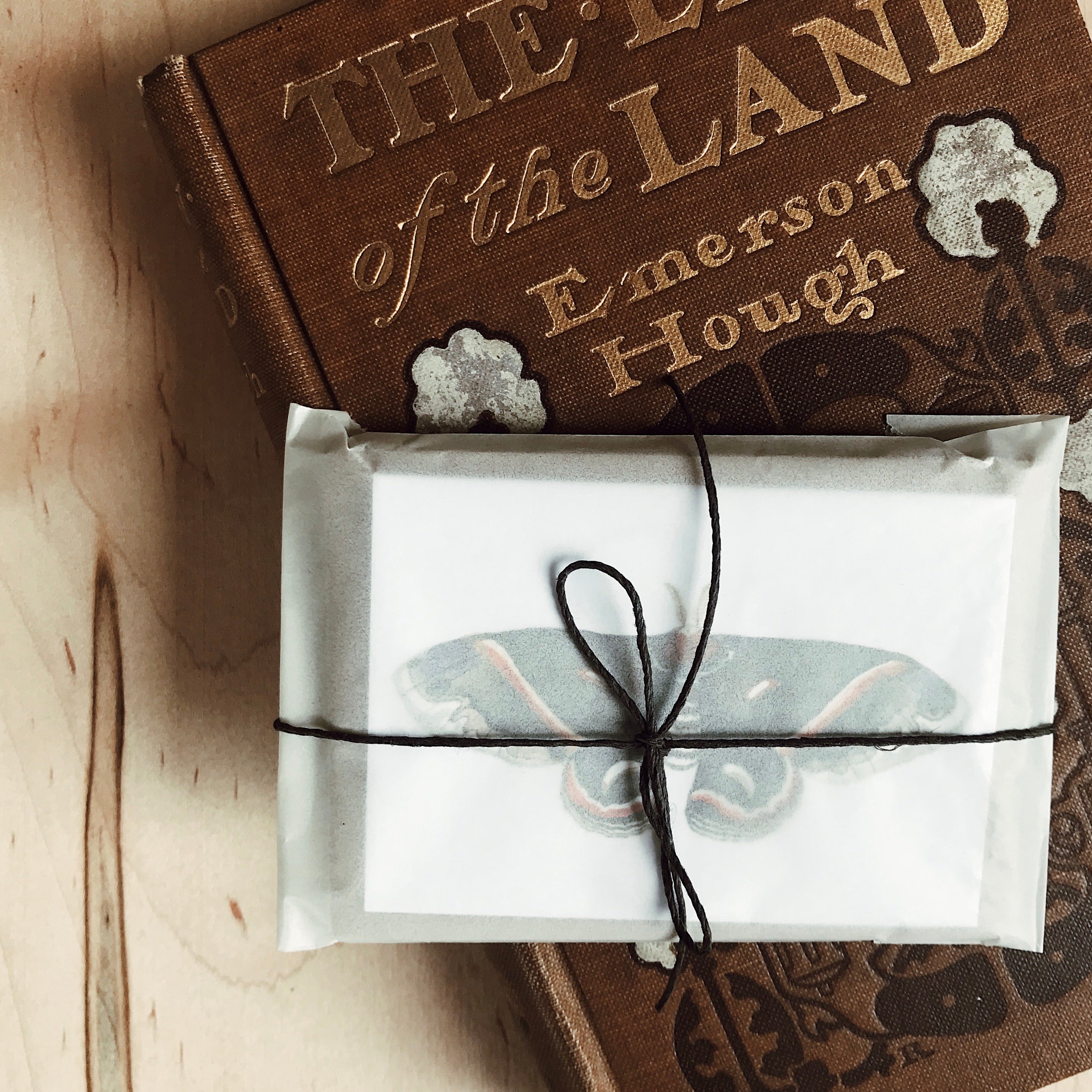 Set of Mini Moth Cards