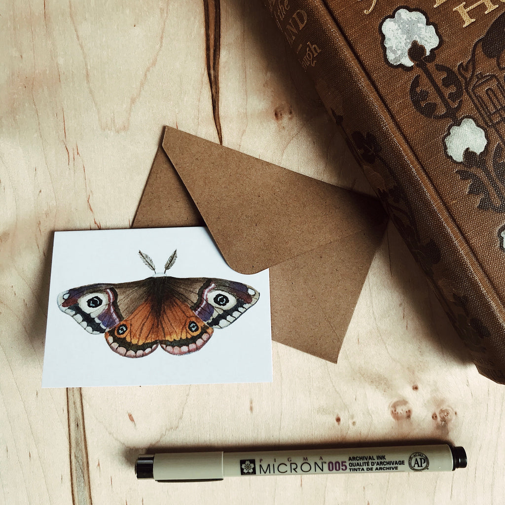 Set of Mini Moth Cards