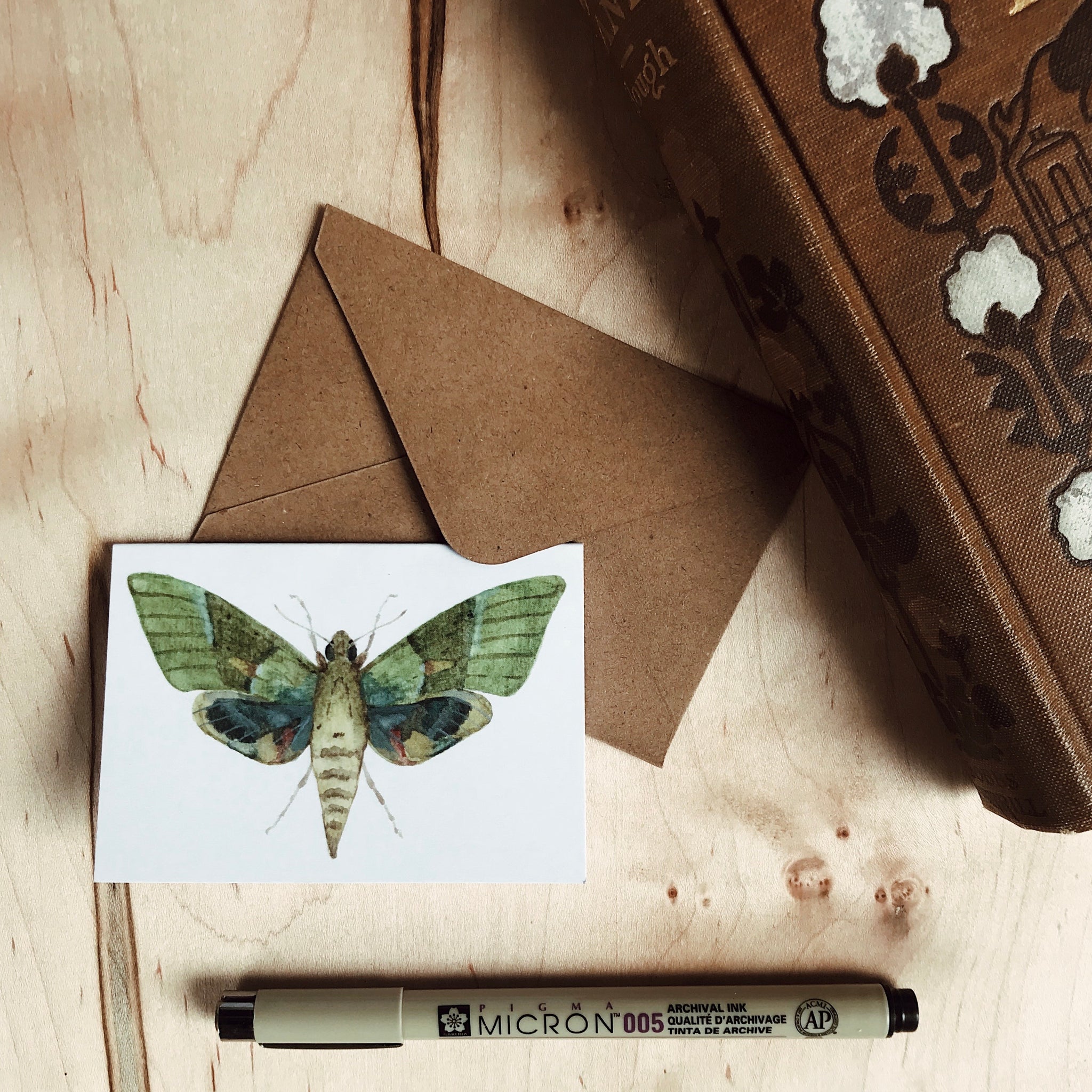 Madagascan Sunset Moth Iron on Patch —mini cards Bridgette Jones Nature  Prints-Bridgette Jones Nature Prints