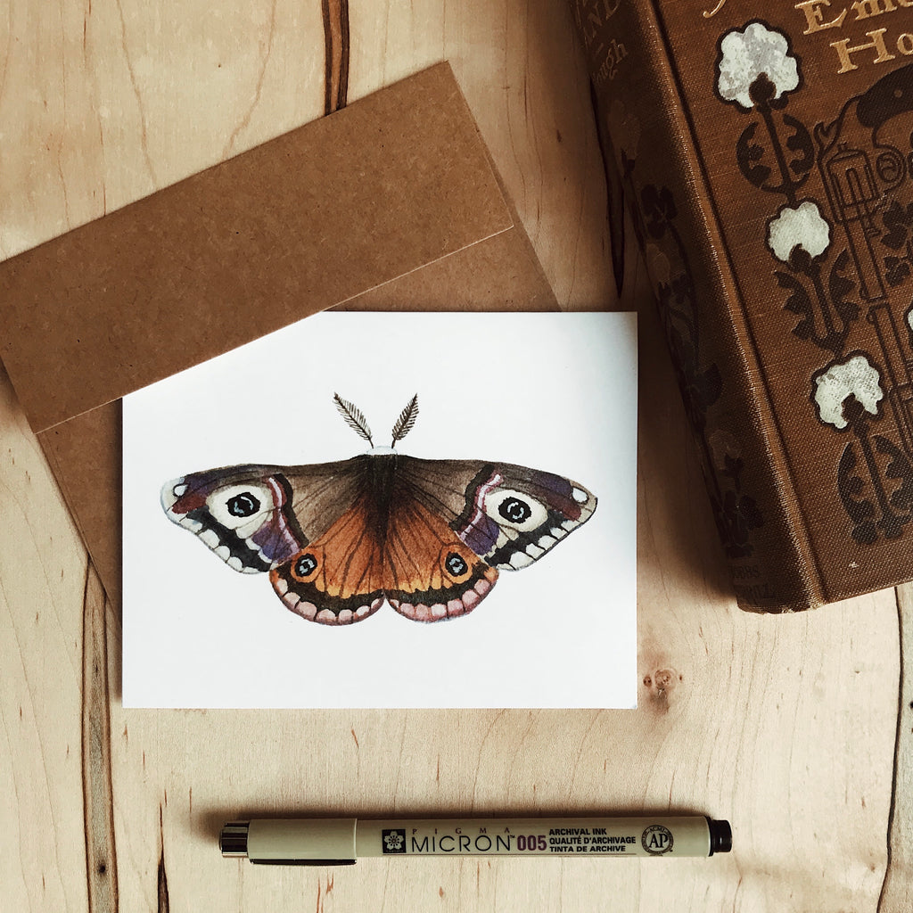 Set of Moth Cards