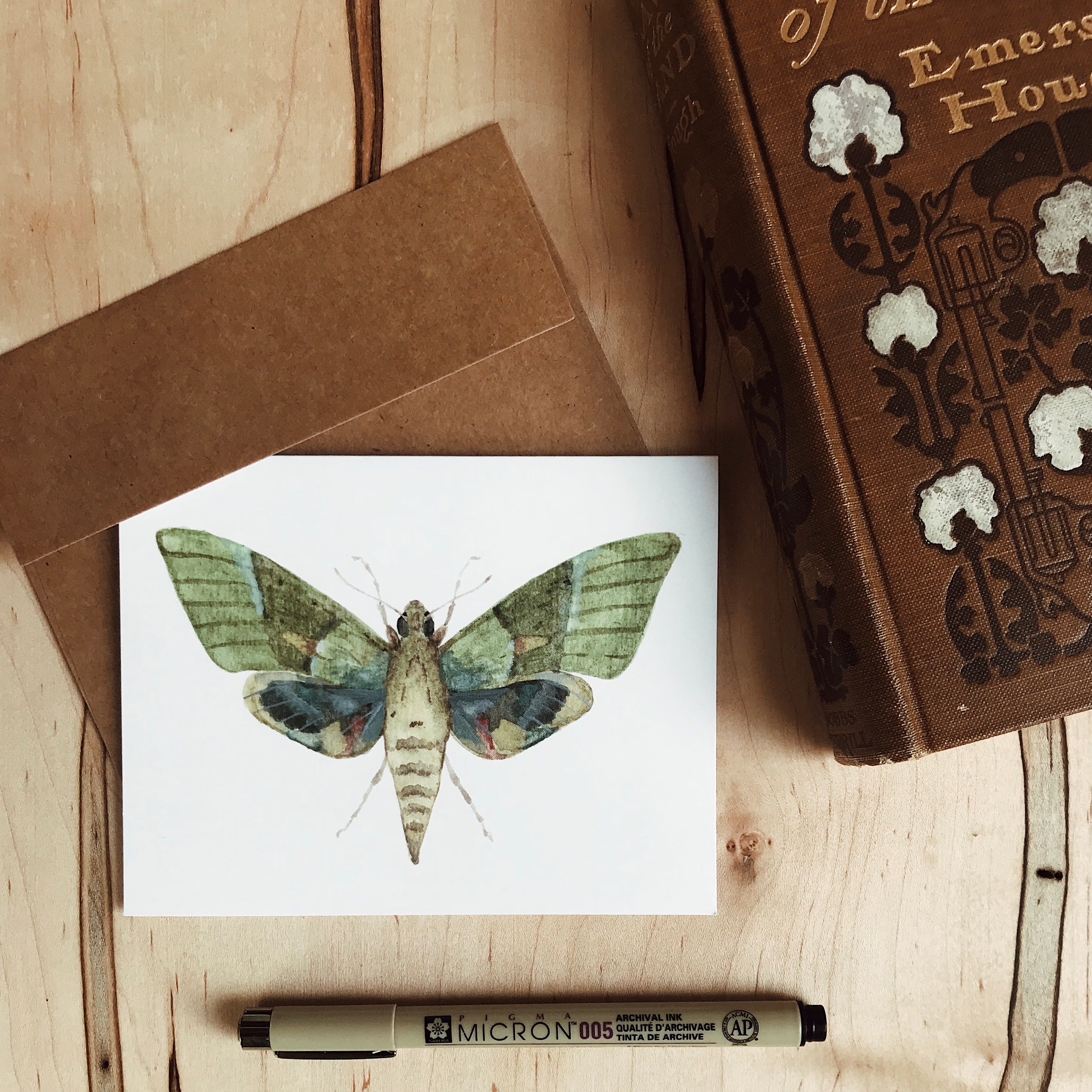 Set of Moth Cards